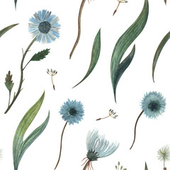 Watercolor seamless pattern illustration of a wild blue flowers, dandelion and fluff plant and grass