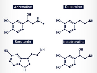 Adrenaline (epinephrine), dopamine ( DA), serotonin, norepinephrine (noradrenaline) molecules. Monoamine neurotransmitters, neuromodulators, medications © bacsica