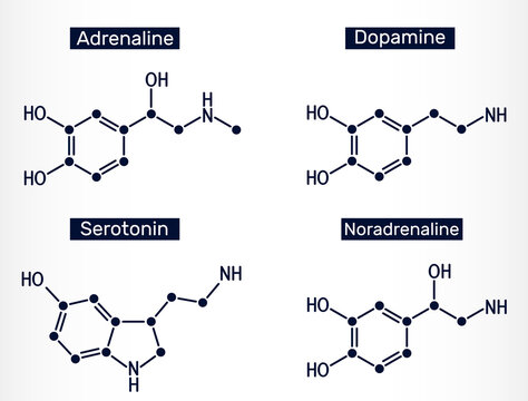 Adrenaline (epinephrine), dopamine ( DA), serotonin, norepinephrine (noradrenaline) molecules. Monoamine neurotransmitters, neuromodulators, medications
