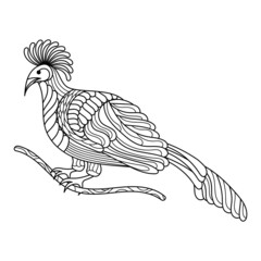 Tropical exotic bird, coloring book page, Hand drawn anti stress linear illustration . Vector Line art design