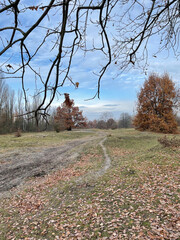 Biesenhorster Sand, Karlshorst, Lichtenberg, Berlin