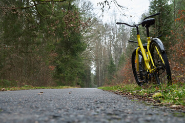 Fototapeta premium Path for bicycles in the autumn park. Yellow bike stands on the side of a bike path in the autumn forest