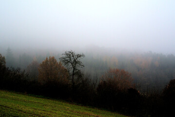 Obraz premium Herbst 2021 Doos und Veitsberg