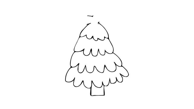 Doodle christmas tree animation. Doodle fir tree video. Drawing animation of fir tree.