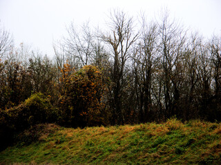 Herbst 2021 Doos und Veitsberg