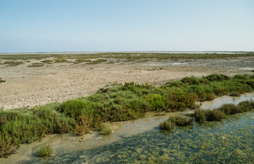 Parc naturel régional de Camargue, 13, Bouches du Rhone