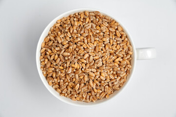 spelled grain in a white ceramic cup on a white background