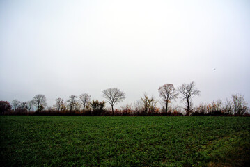 Herbst 2021 Doos und Veitsberg
