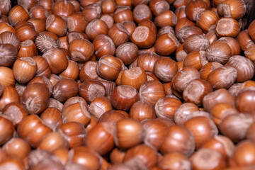 background of hazelnuts in the shell