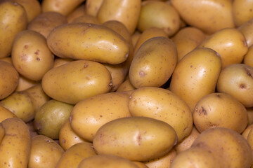 close up of fresh organic baby potatoes in market