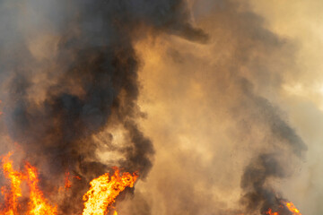 raging dust smoke pattern background of fire burn in grass fields, forests and black