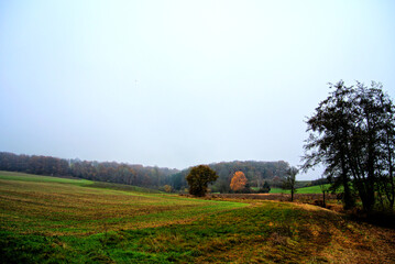 Herbst 2021 Doos und Veitsberg