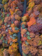 fall colors in the mountains