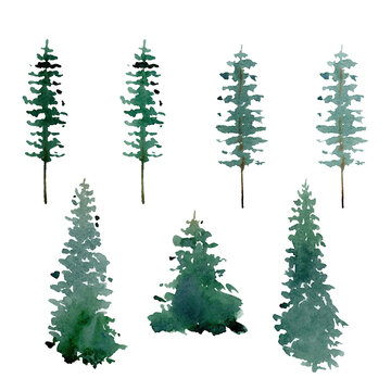 winter woodland  forest clipart, watercolor fir tree clip art, isolated elements on white background