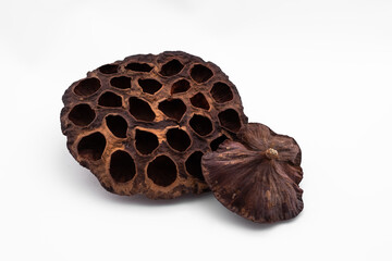 dried flower lotus box dry flower