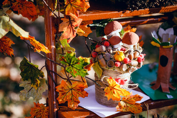 Harvested pumpkins with fall leaves