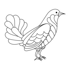 Cute bird. Coloring book page for kids, Hand drawn linear illustration . Vector Line art design in white