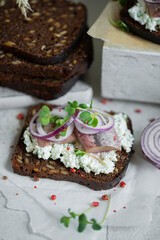 Sandwich with whole grain bread salted herring, cottage cheese and red onion on white rustic table with ingredients. Selective focus, copy space. Traditional Latvian food.