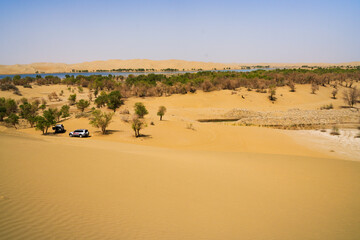 Fototapeta na wymiar Desert oasis, dune grove center lake