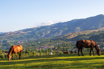 Rural idyll in Romania