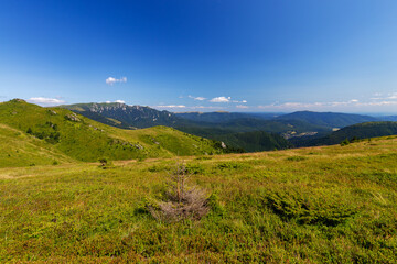 Fototapeta na wymiar Green plateau in Ciucas mountain in Romania on a beautiful summer day