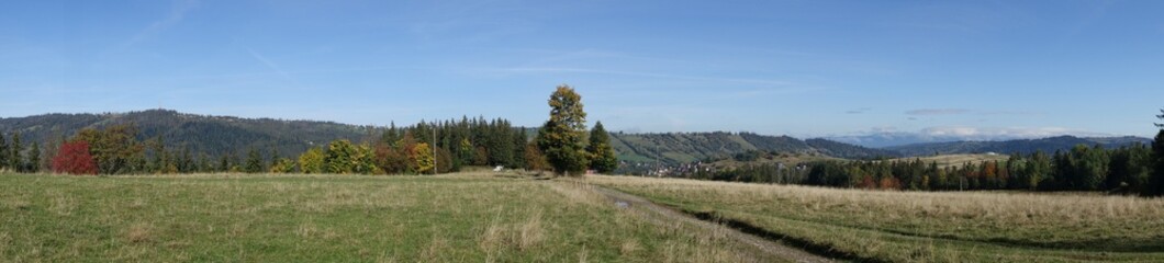 Fototapeta na wymiar Zakopane, panorama Zakopanego.