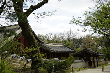 전통건축 종묘의 풍경입니다.