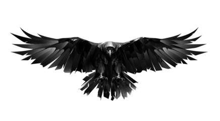 Fototapeta premium hand drawn raven bird in front on white background
