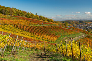 Fototapeta na wymiar Ahrtal, Weinberge am Rotweinwanderweg bei Bad Neuenahr-Ahrweiler im Herbst