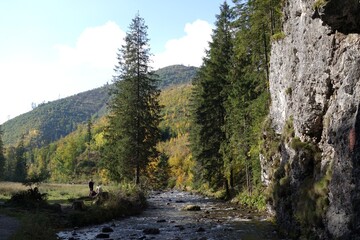 Fototapeta na wymiar Zakopane, dolina Koscieliska.
