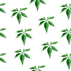 Tropical creeper leaf watercolor seamless pattern. Template for decorating designs and illustrations.