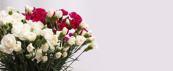 White and redl color small Carnation bud on gray. Flower bouquet horizontal; long background.