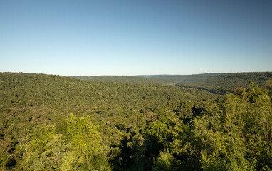 The tropical rainforest. View of the lush vegetation  and hills under a clear blue sky. 