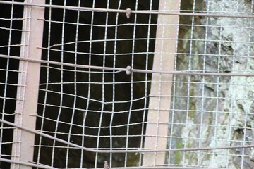 Obraz premium Nature, Wildlife, Water, Architecture