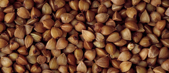 Full frame macro photo of buckwheat groats. Healthy eating  concept