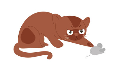Cat with mouse. Kitten hunts for toy. Owners entertain their pet. Development of hunting instincts, curiosity, interest, nature. Chase, house, apartment, evening. Cartoon flat vector illustration