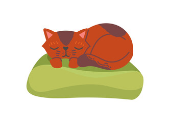 Cat on coach. Pet lies on soft, caring owners. Comfortable and cozy place to sleep. Sticker, poster, home, apartment, indoor. Sleeping, sweet dreams, green blanket. Cartoon flat vector illustration