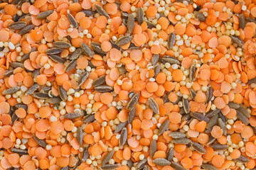Raw soup of cereals and legumes - 468980029