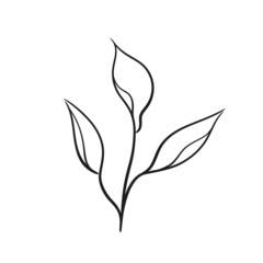 branch with leaves. hand drawn floral illustration. botanical element for greeting card and invitation design