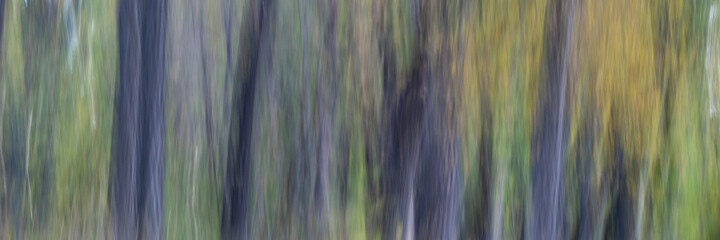 nature motion blur abstract in pastel colors - trees in fall, panoramic web banner