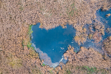 The shape of the heart on the lake among the thickets, view from the drone.