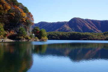 clothes with autumn colors