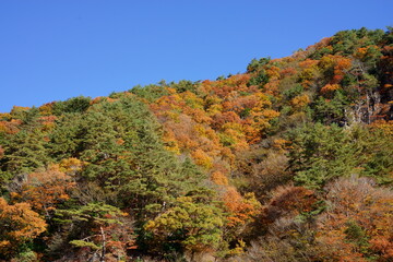  It's starting to feel more like autumn every day. 