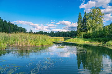 The blue sky and forest are reflected in the river on a summer day.