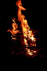 Fototapeta na wymiar Close up of a bright flames of firewood.