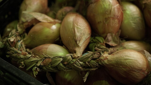 cebolas