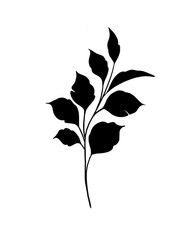botany tattoo sketch - beautiful twig plant. Botanical element template for graphic design, wedding decor, textiles, souvenir gift, stationery print