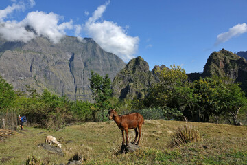 Ilet des Orangers, Ilet des Lataniers dans le cirque de Mafate sur l'île de la Réunion