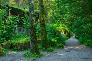 German bunkers from World War II in Masuria Poland.