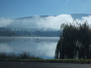 fog over the river